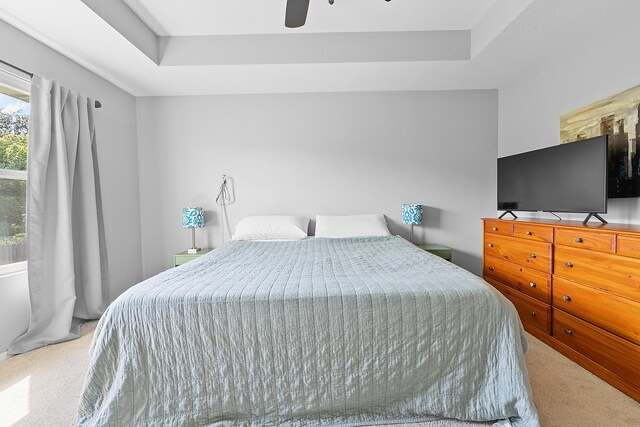 3891 N Spring Branch Ave, Springfield, MO 65803 - bedroom featuring carpet, a raised ceiling, and a ceiling fan