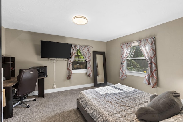 2019 N Rogers Ave, Springfield, MO 65803 - bedroom with carpet flooring and multiple windows