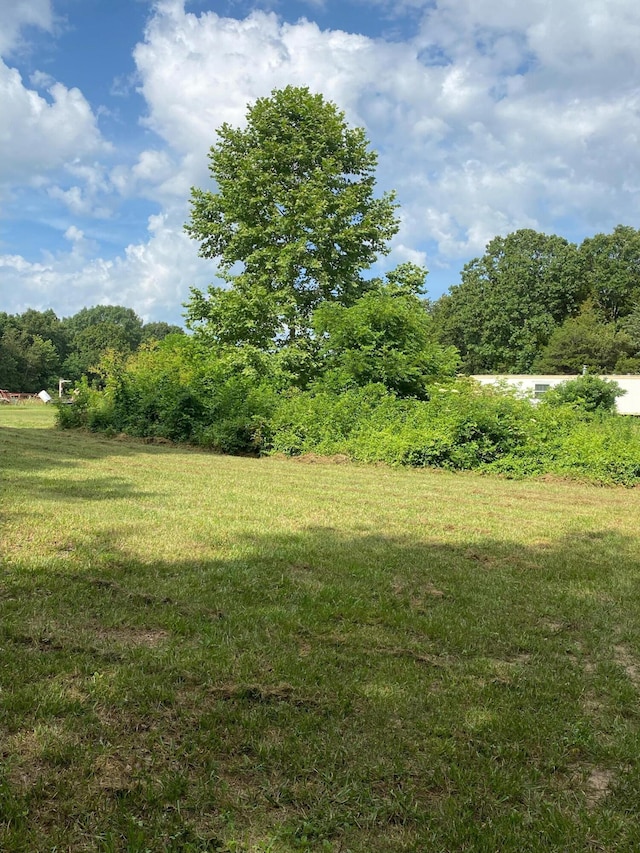 000 Lawrence Unit 1240, Marionville, MO 65705 - photo 8