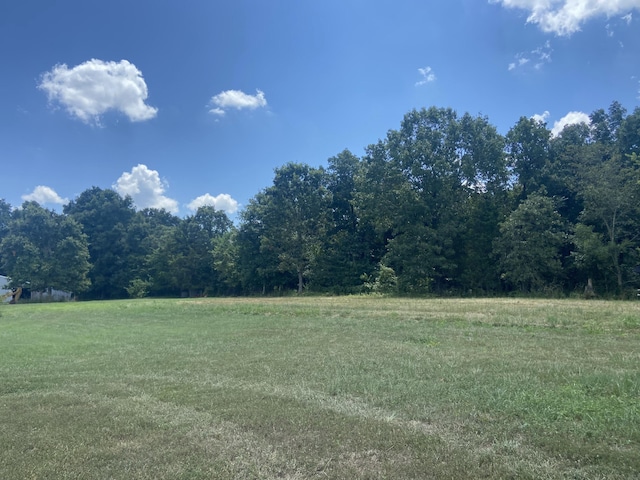 000 Lawrence Unit 1240, Marionville, MO 65705 - photo 6