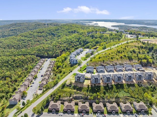 3011 N Vineyards Terrace Parkway Unit 1, 2, 3, 4, Branson, MO 65616 - aerial overview of property's location with a forest and nearby suburban area