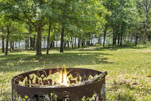 310 Turtle Cove Ln, Reeds Spring, MO 65737 - view of grassy yard featuring a fire pit and a water view