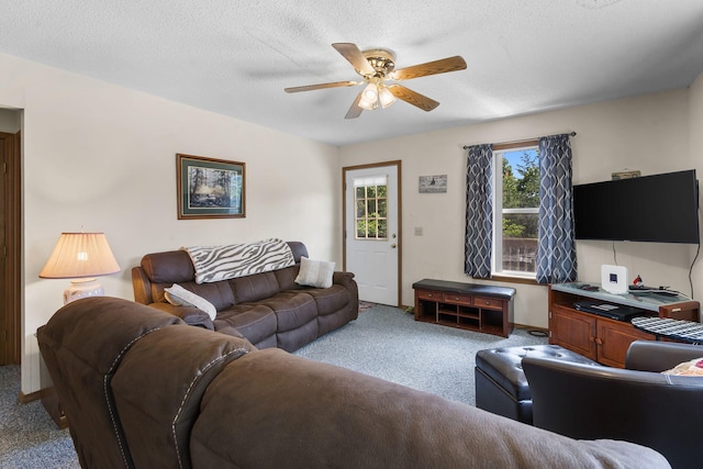 310 Turtle Cove Ln, Reeds Spring, MO 65737 - living area with carpet, a ceiling fan, and a textured ceiling