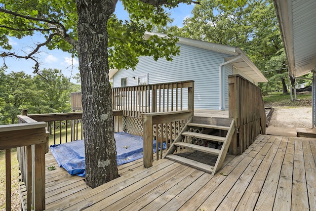 310 Turtle Cove Ln, Reeds Spring, MO 65737 - view of deck