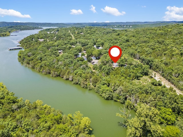 310 Turtle Cove Ln, Reeds Spring, MO 65737 - bird's eye view of a nearby body of water and a heavily wooded area