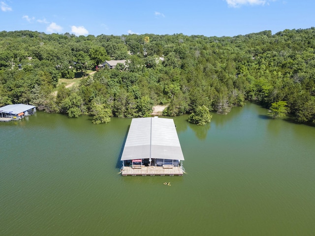 310 Turtle Cove Ln, Reeds Spring, MO 65737 - drone / aerial view of a heavily wooded area and a nearby body of water