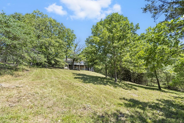310 Turtle Cove Ln, Reeds Spring, MO 65737 - view of green lawn