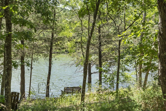 310 Turtle Cove Ln, Reeds Spring, MO 65737 - water view featuring a forest