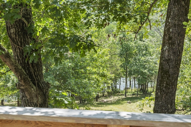 310 Turtle Cove Ln, Reeds Spring, MO 65737 - view of undeveloped land
