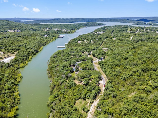310 Turtle Cove Ln, Reeds Spring, MO 65737 - bird's eye view of a nearby body of water and a forest