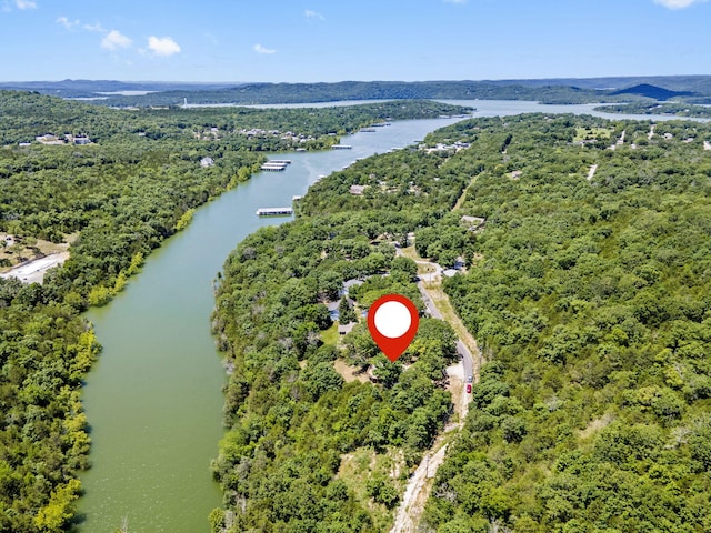 310 Turtle Cove Ln, Reeds Spring, MO 65737 - drone / aerial view of a large body of water and a heavily wooded area