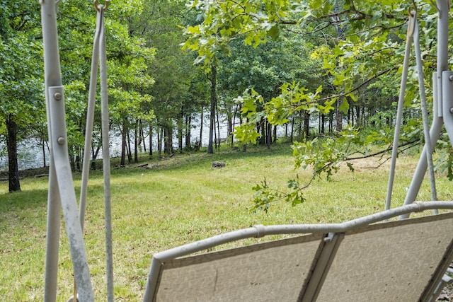310 Turtle Cove Ln, Reeds Spring, MO 65737 - view of grassy yard featuring a water view
