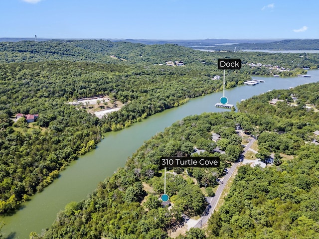 310 Turtle Cove Ln, Reeds Spring, MO 65737 - drone / aerial view of a large body of water and a forest
