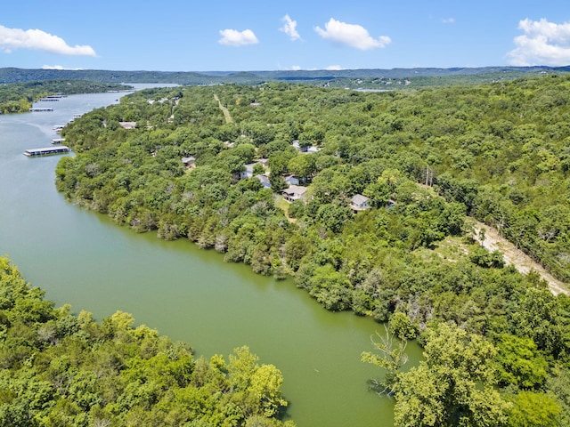 310 Turtle Cove Ln, Reeds Spring, MO 65737 - drone / aerial view of a heavily wooded area and a large body of water