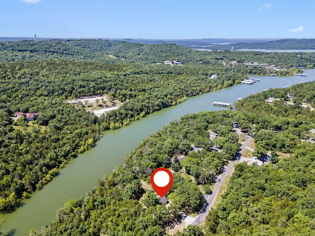 310 Turtle Cove Ln, Reeds Spring, MO 65737 - aerial overview of property's location with a nearby body of water and a forest