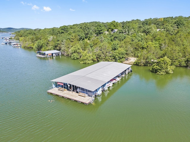 310 Turtle Cove Ln, Reeds Spring, MO 65737 - drone / aerial view of a large body of water and a forest