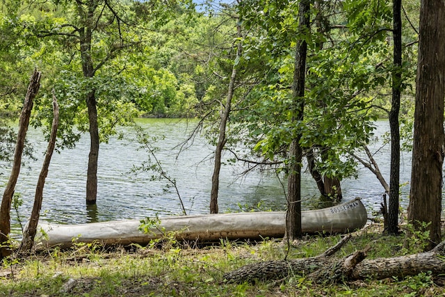 310 Turtle Cove Ln, Reeds Spring, MO 65737 - water view