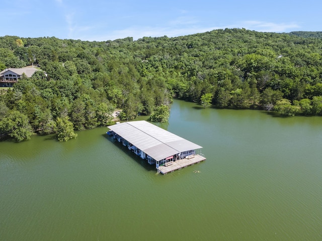 310 Turtle Cove Ln, Reeds Spring, MO 65737 - drone / aerial view of a heavily wooded area and a large body of water