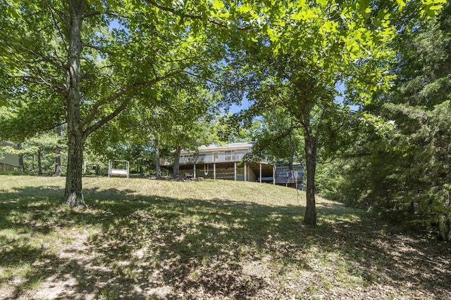 310 Turtle Cove Ln, Reeds Spring, MO 65737 - view of green lawn