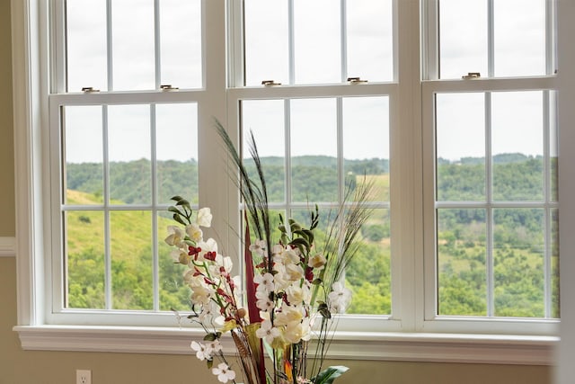 358 Spring View Pl, Reeds Spring, MO 65737 - detailed view
