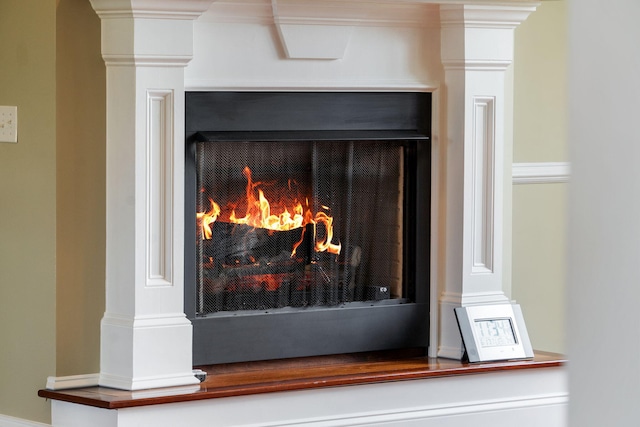 358 Spring View Pl, Reeds Spring, MO 65737 - detailed view of a warm lit fireplace and decorative columns