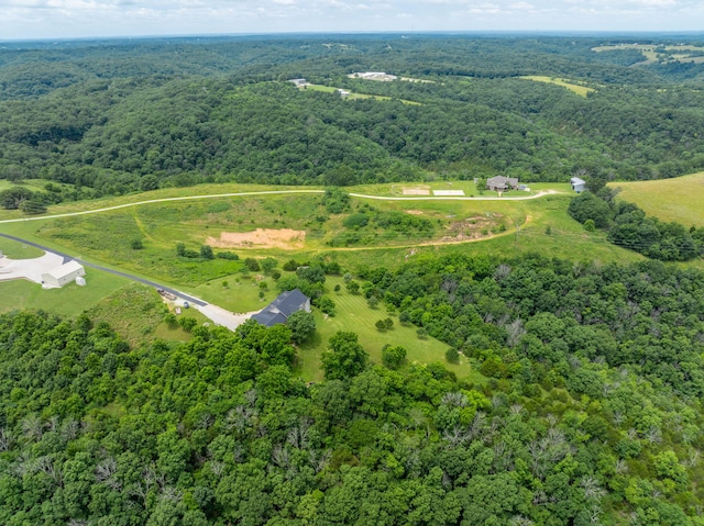 358 Spring View Pl, Reeds Spring, MO 65737 - aerial view of a heavily wooded area
