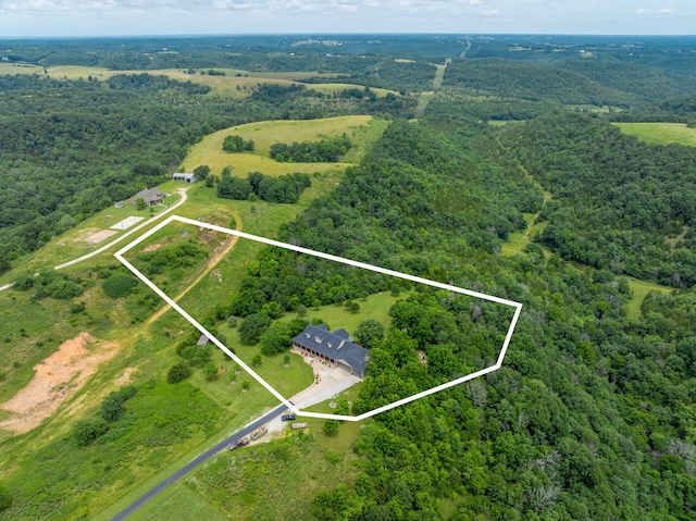 358 Spring View Pl, Reeds Spring, MO 65737 - aerial view of property's location featuring a heavily wooded area and property parcel outlined