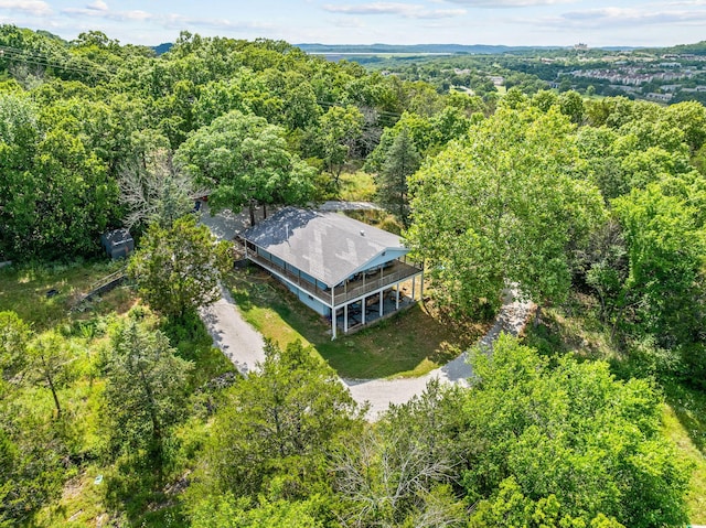 1009 Iowa Colony Rd, Hollister, MO 65672 - photo 23