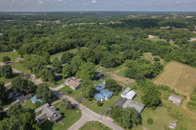 407 N Pine St, Pierce City, MO 65723 - aerial view of property and surrounding area with a forest