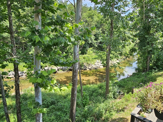7832 Cozy Cove Rd, Branson, MO 65616 - photo 4