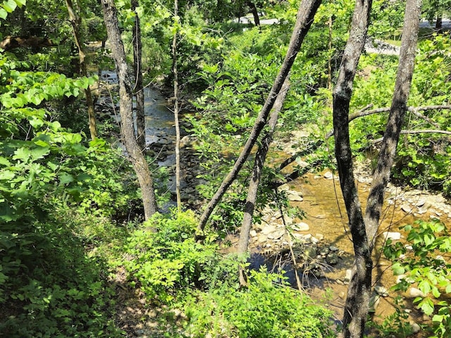 7832 Cozy Cove Rd, Branson, MO 65616 - photo 47