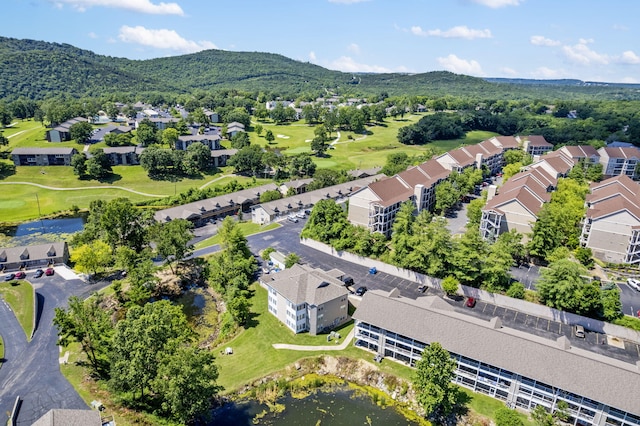 33 Golfshores Dr Unit 1, Branson, MO 65616 - photo 25