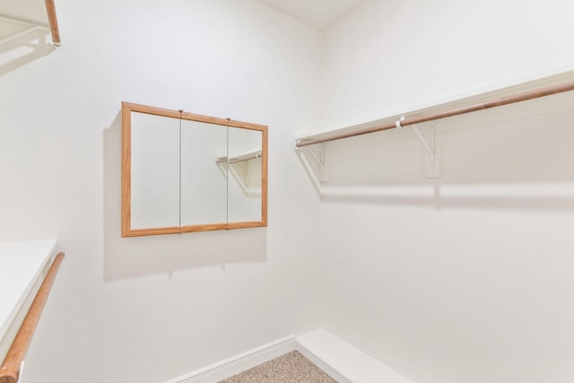 1303 E Eaglegate Pkwy, Springfield, MO 65804 - view of walk in closet