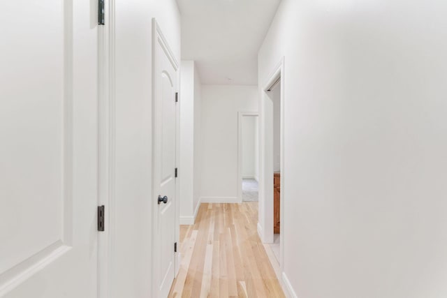 1303 E Eaglegate Pkwy, Springfield, MO 65804 - corridor with light wood finished floors and baseboards