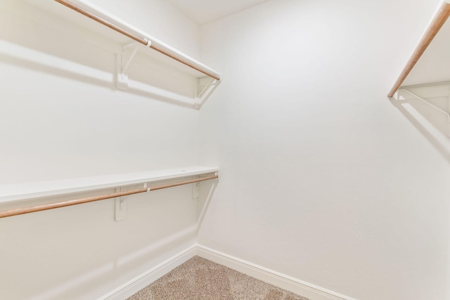 1303 E Eaglegate Pkwy, Springfield, MO 65804 - spacious closet featuring light carpet