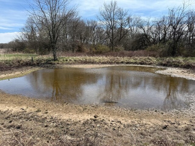 12697 W Farm Road 120, Bois D Arc, MO 65612 - photo 92