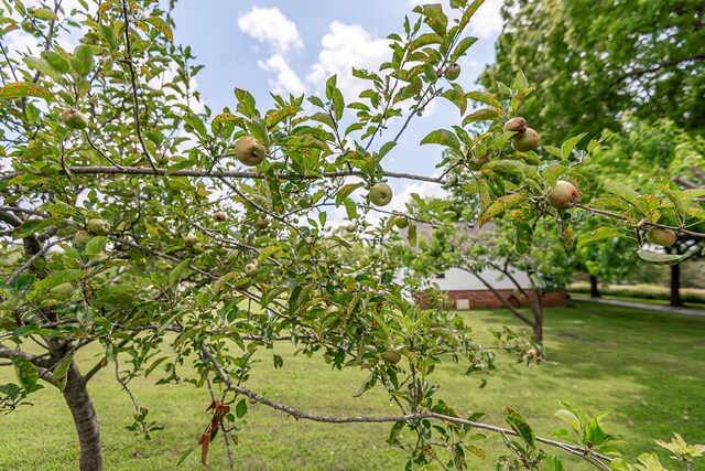 12697 W Farm Road 120, Bois D Arc, MO 65612 - photo 64