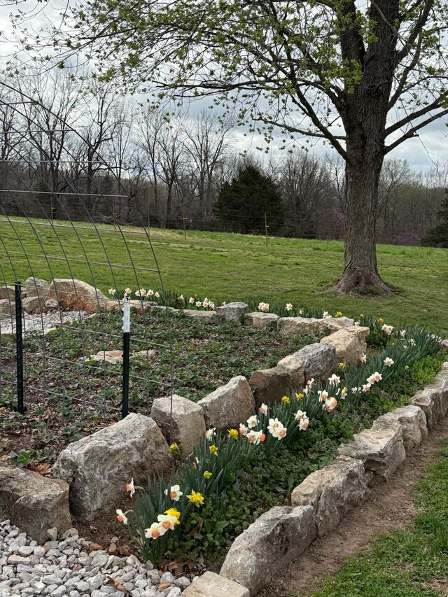 12697 W Farm Road 120, Bois D Arc, MO 65612 - photo 94