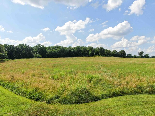 12697 W Farm Road 120, Bois D Arc, MO 65612 - photo 86