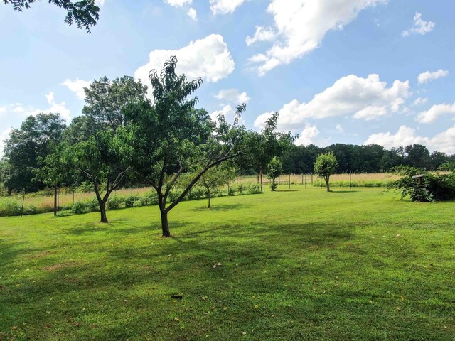 12697 W Farm Road 120, Bois D Arc, MO 65612 - photo 84