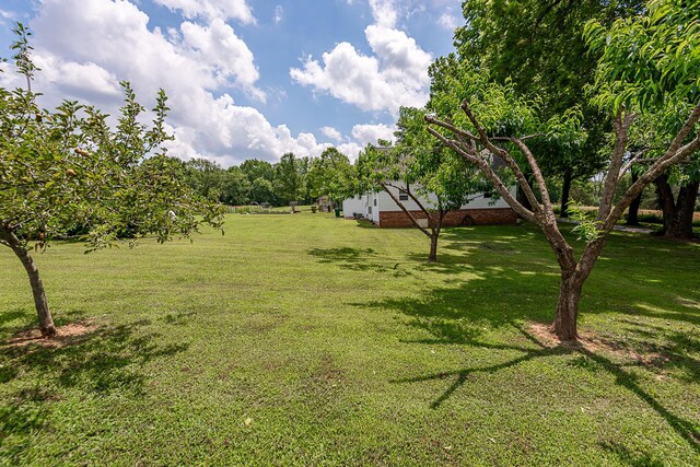 12697 W Farm Road 120, Bois D Arc, MO 65612 - photo 61