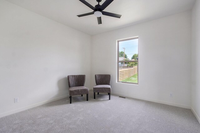 2111 E Will St, Republic, MO 65738 - photo 32