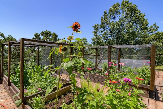 10626 W State Highway 76, Cape Fair, MO 65624 - view of yard with a garden