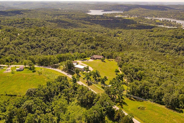 10626 W State Highway 76, Cape Fair, MO 65624 - drone / aerial view of a forest