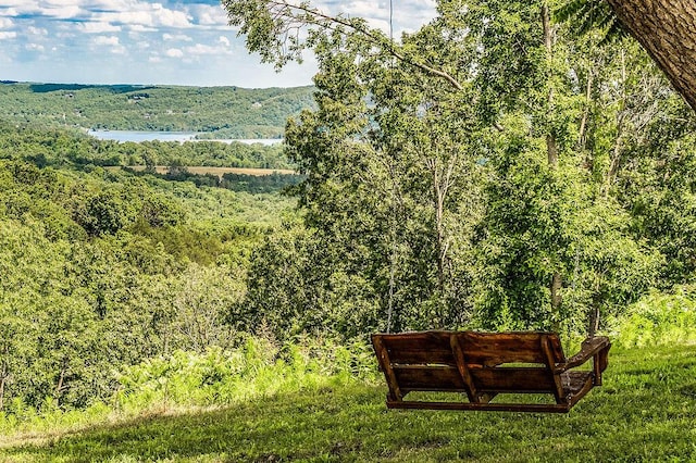 10626 W State Highway 76, Cape Fair, MO 65624 - view of mountain backdrop featuring a forest