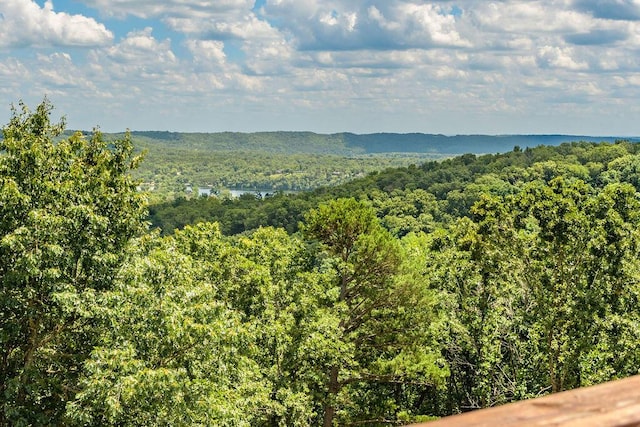 10626 W State Highway 76, Cape Fair, MO 65624 - view of mountain backdrop with a forest
