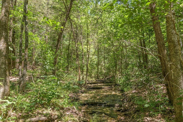 10626 W State Highway 76, Cape Fair, MO 65624 - view of woods
