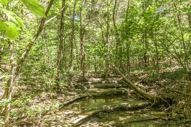 10626 W State Highway 76, Cape Fair, MO 65624 - view of local wilderness