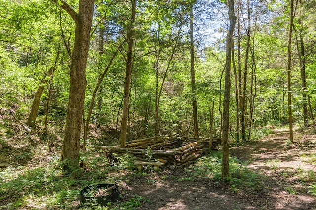10626 W State Highway 76, Cape Fair, MO 65624 - view of tree filled area