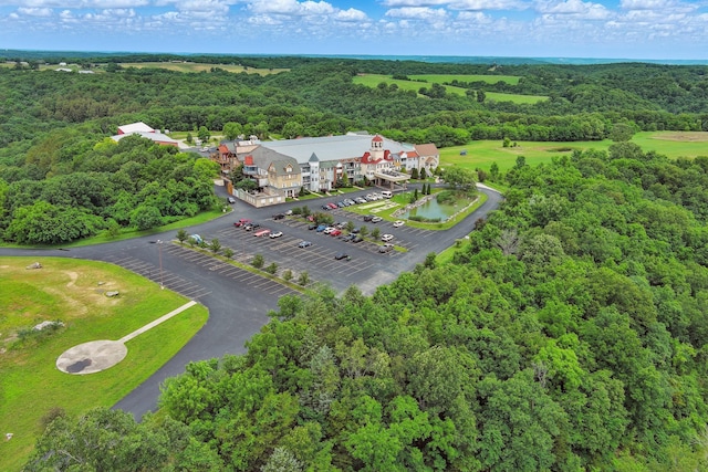 180 Grace Chapel Rd Unit 325, Blue Eye, MO 65611 - drone / aerial view of a heavily wooded area